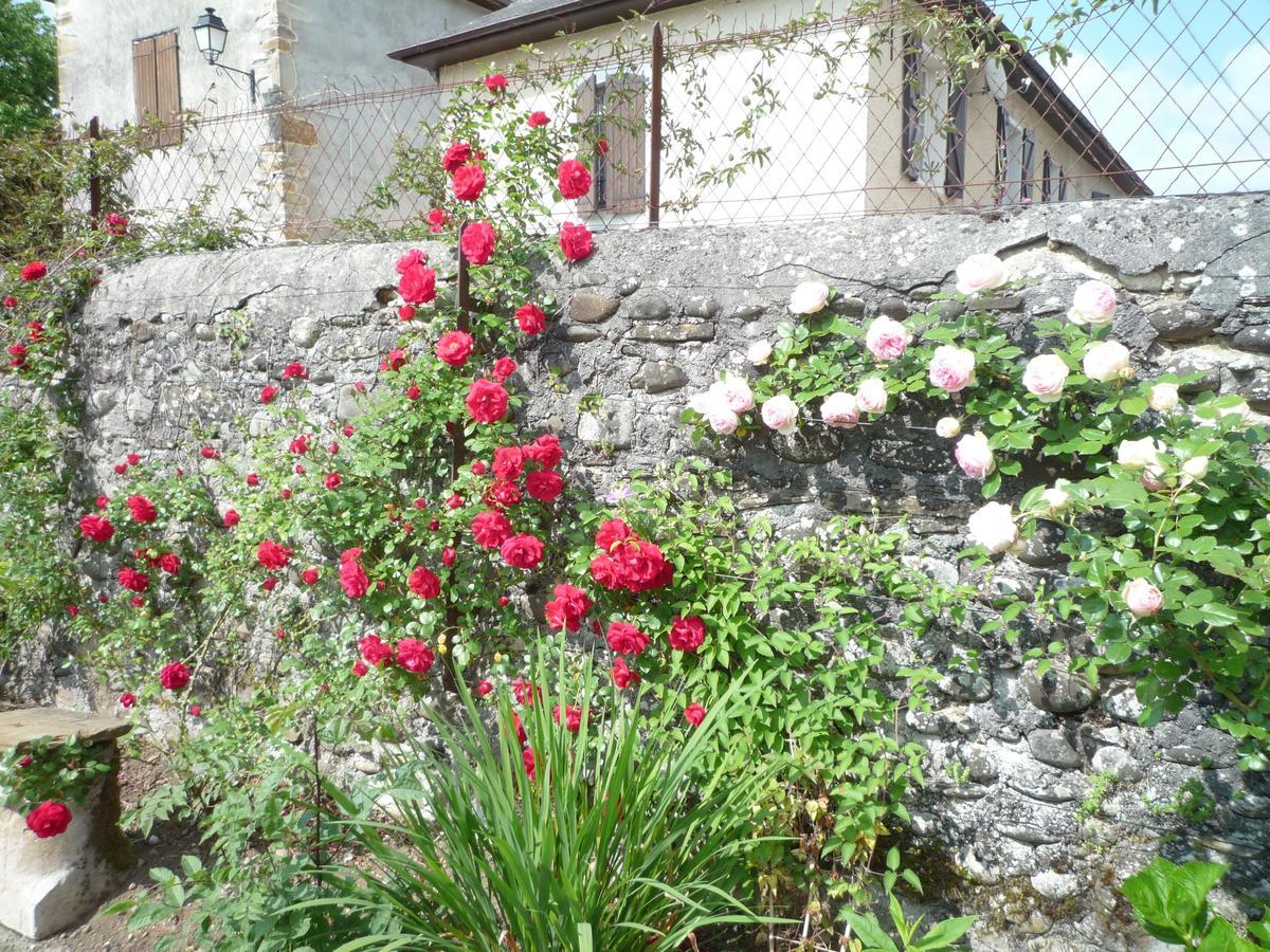 Bearn Bed & Breakfast Pau Dış mekan fotoğraf